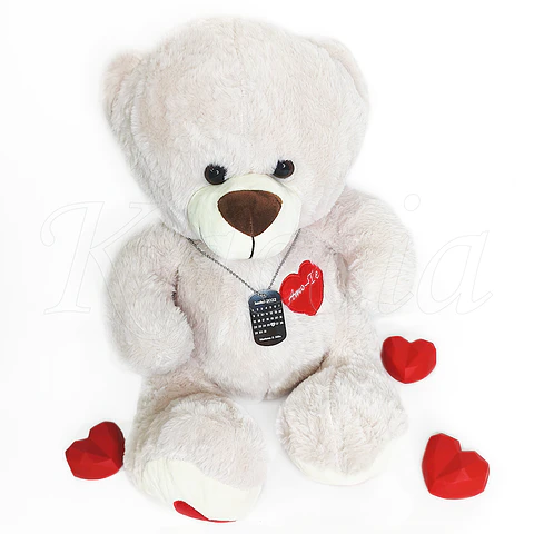 Pack Urso Grande Peluche com Colar Personalizado Militar Masculino Foto Calendário