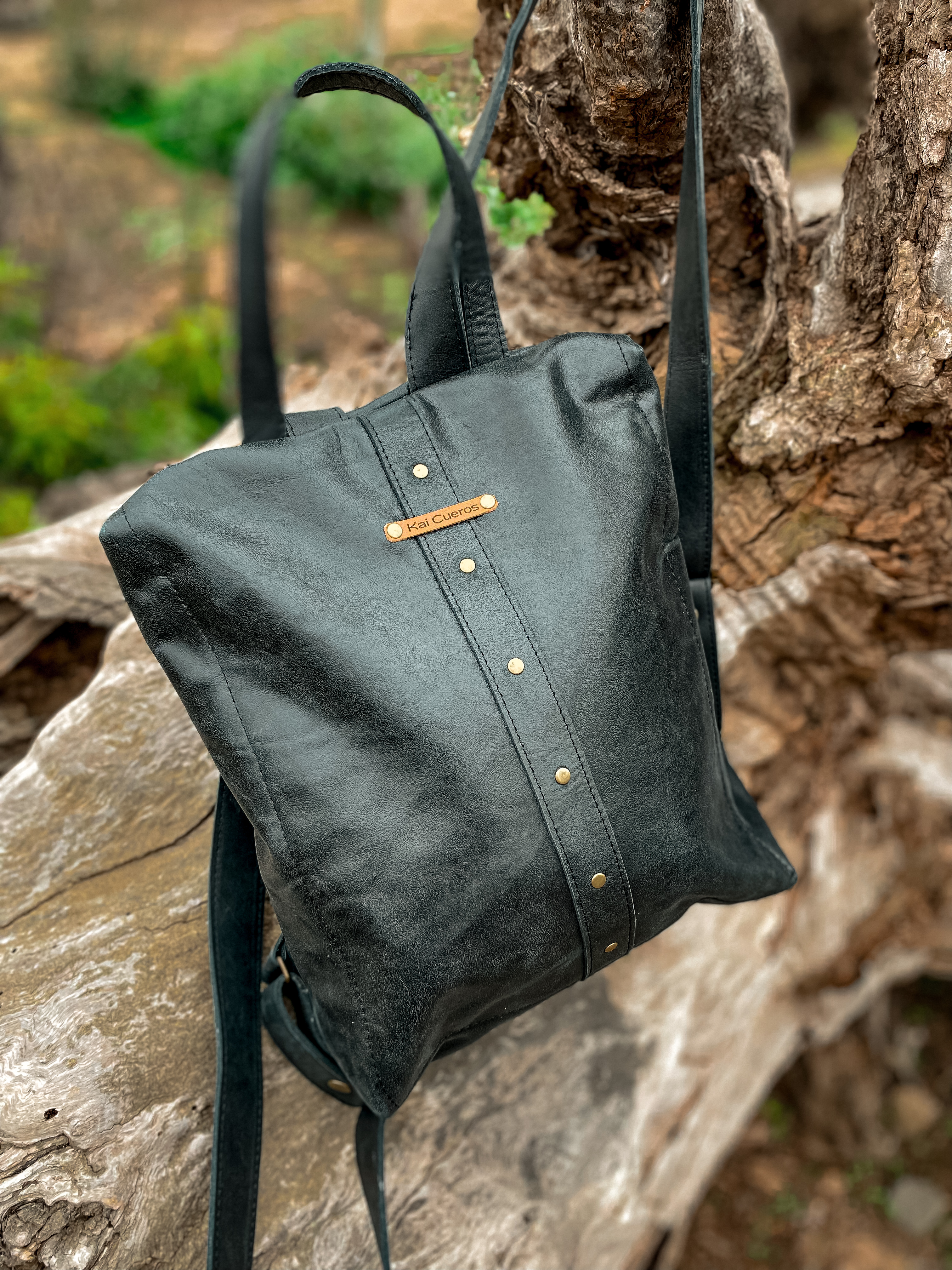 Mochila de Seguridad