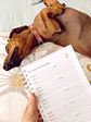 Cuaderno Veterinario - Miniatura 6