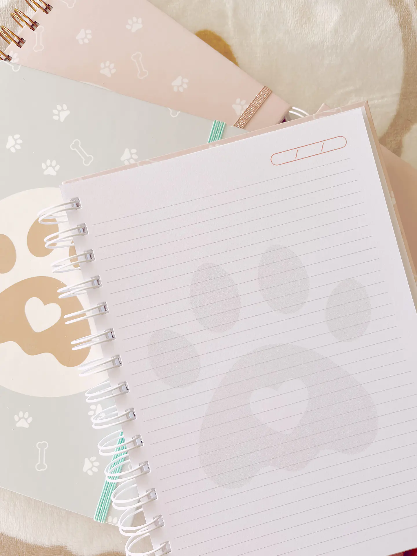 Cuaderno Veterinario 11