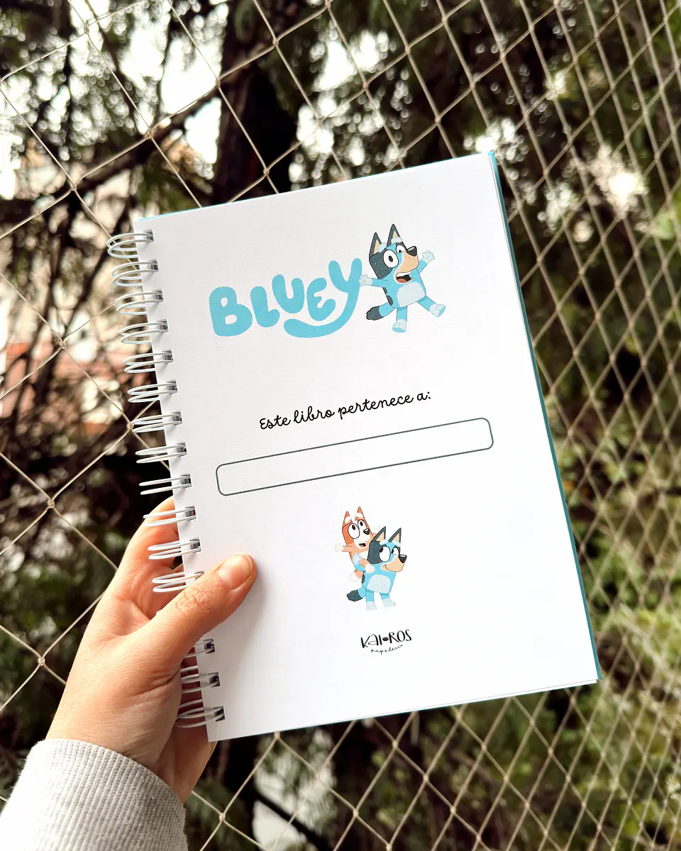 Libro para Colorear Bluey 3