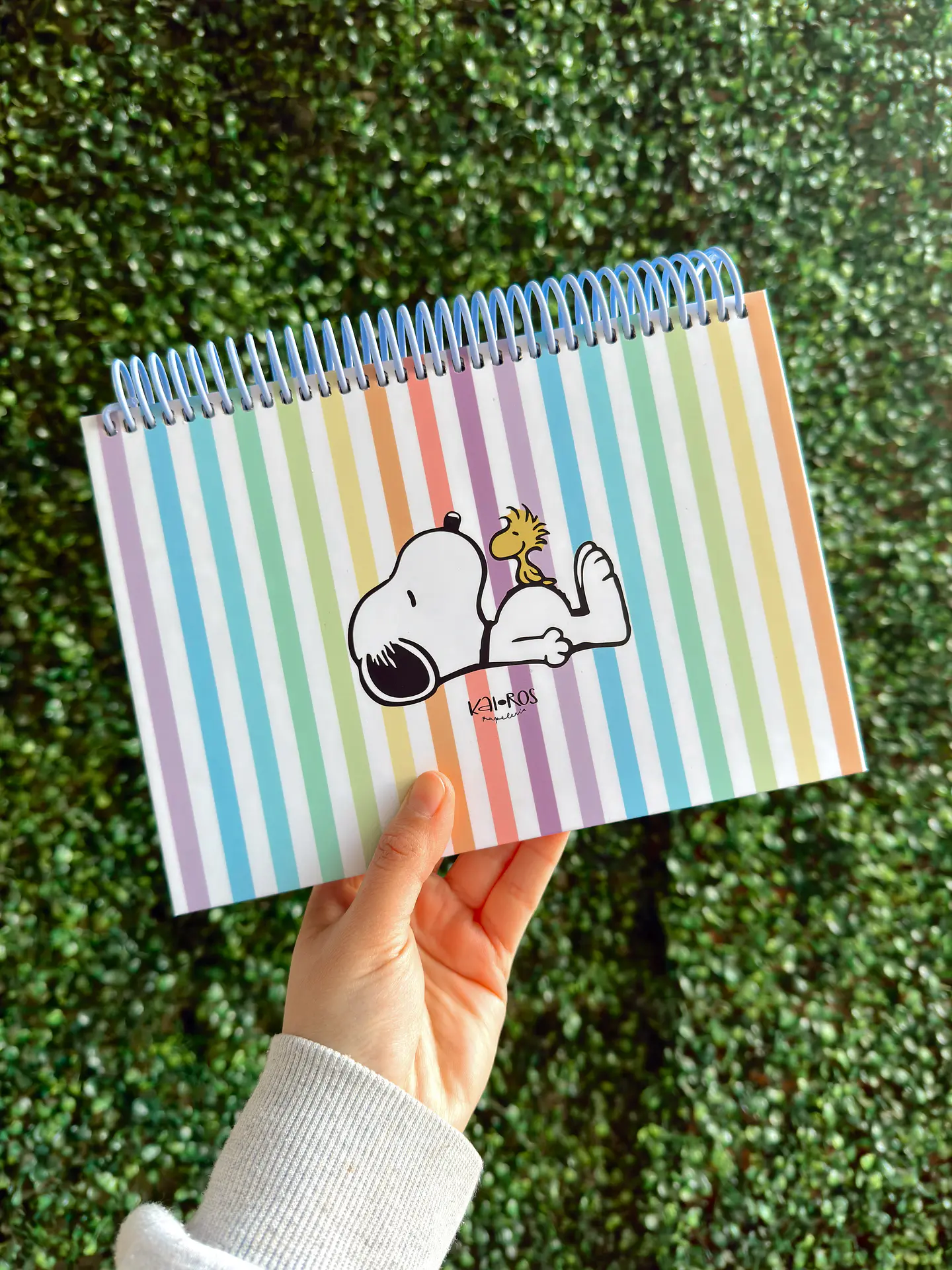Planner Semanal Snoopy 3