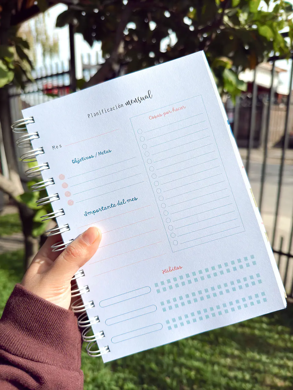 Planificador Anual Sin fechas 3