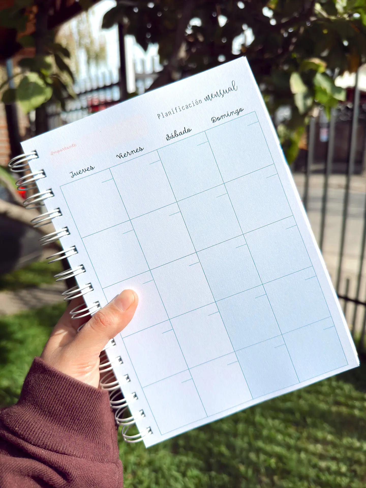 Planificador Anual Sin fechas 5