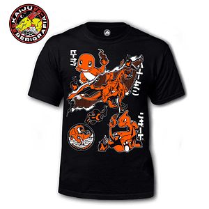 Charmander Charmeleon & Charizard - Pokemon