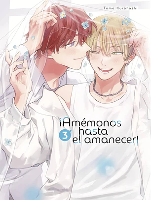 Amémonos hasta el amanecer 3