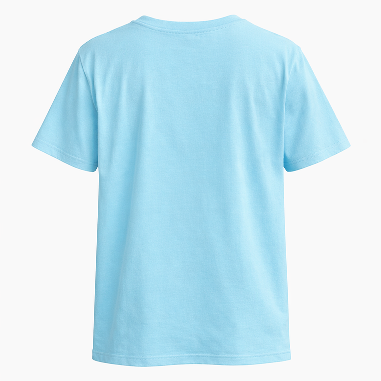 Polera Hombre Turquesa - Redondo  2