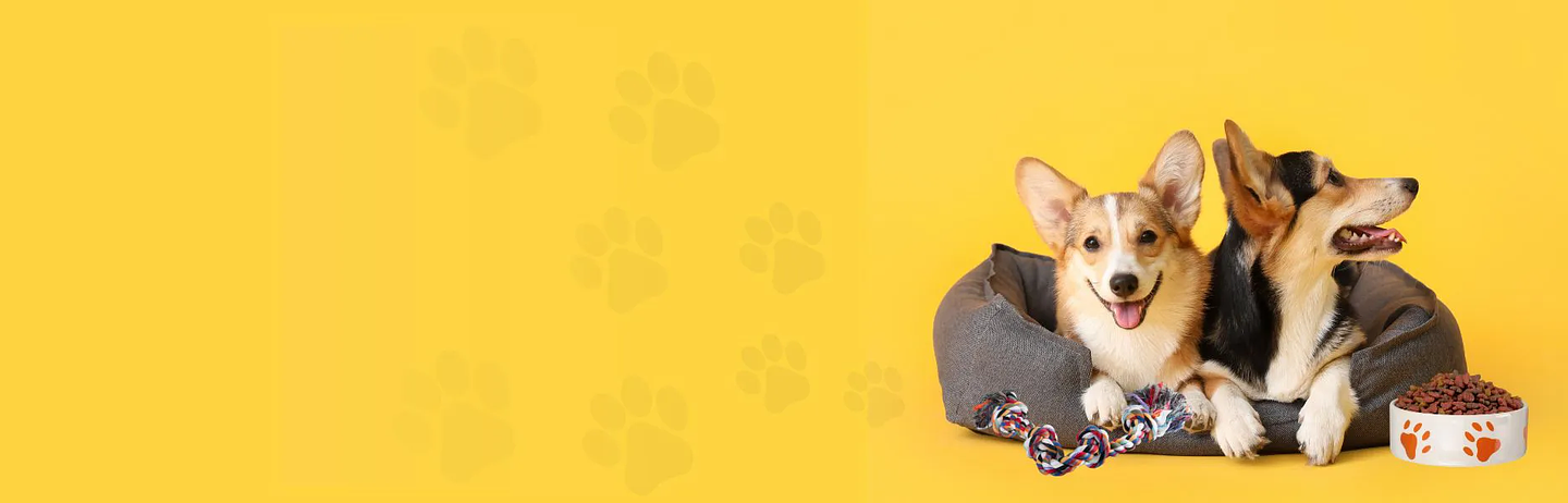 Your trusted pet store to pamper your best friend