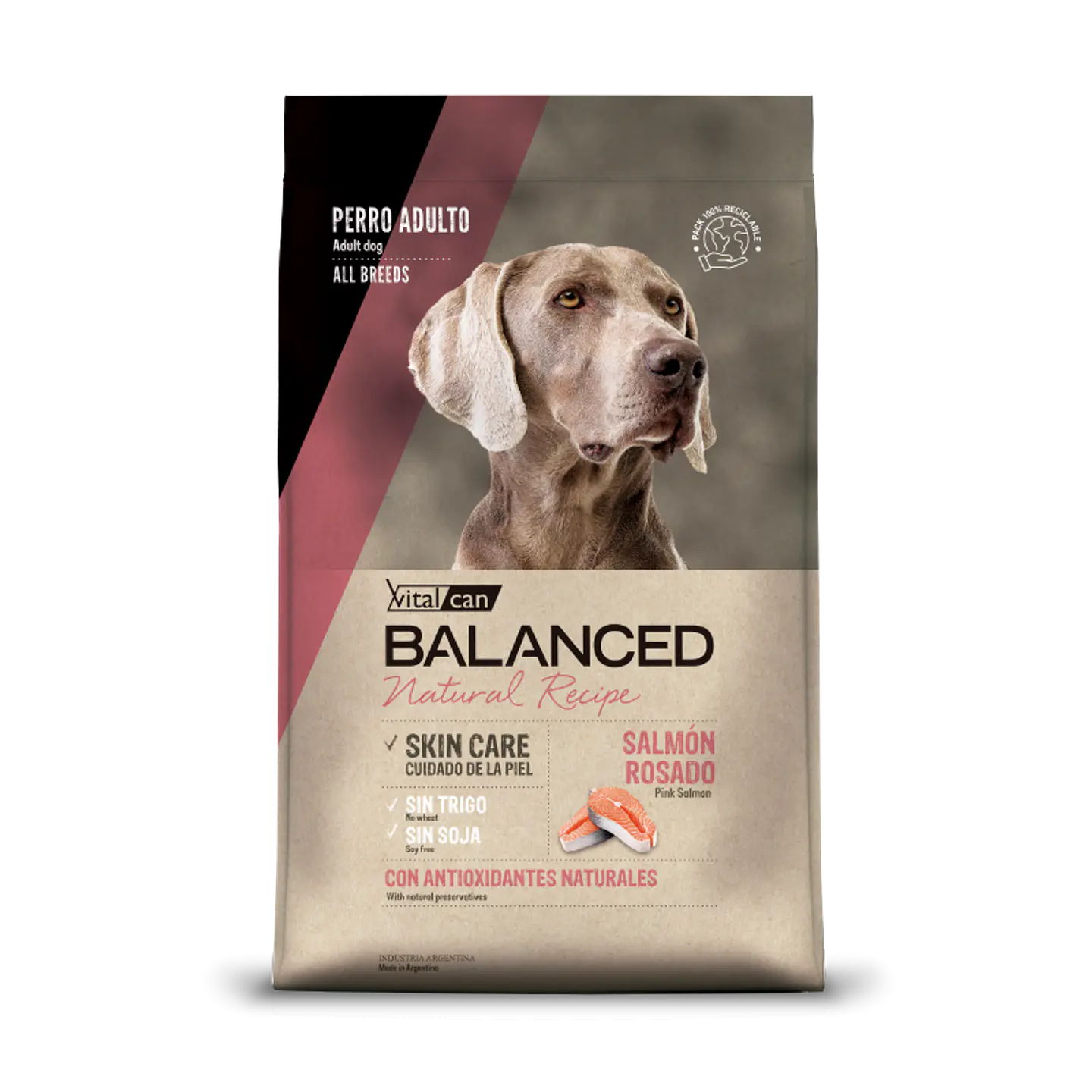 Balanced - Adulto Salmon Rosado 3 kg 1