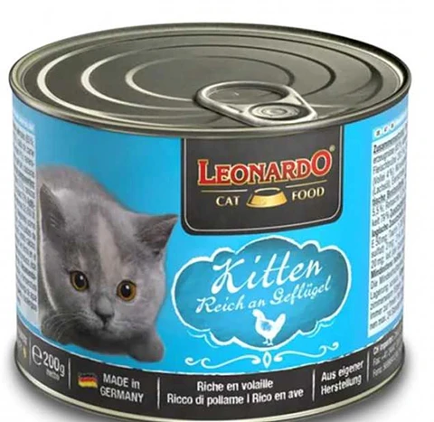 Leonardo Quality Selection Kitten 