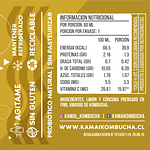 6 unidades Kamai shot cúrcuma 