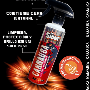 PACK LIMPIA Y PROTEGE 