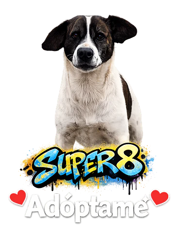 SUPEROCHO 1