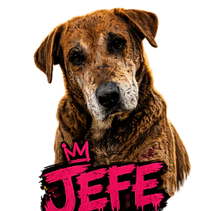 JEFE