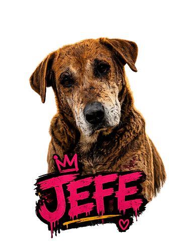 JEFE 1