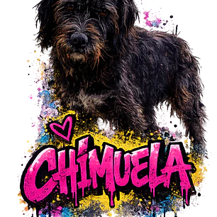 CHIMUELA