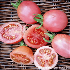 Pink thai egg, Tomate ⭐