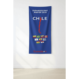 TOALLA MICROFIBRA SUDAMERICANO MASTER 2025