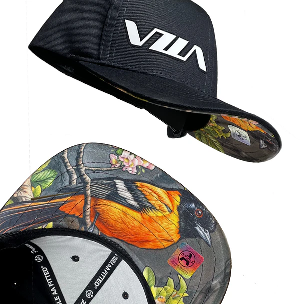  Gorra Vzla turpial  1