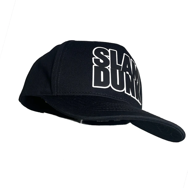  Gorra  Slam dunk 2