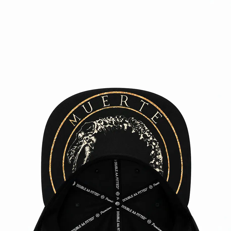  Gorra  Canserbero 4