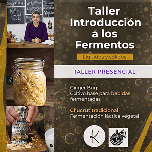 Introducción a la Fermentación en casa