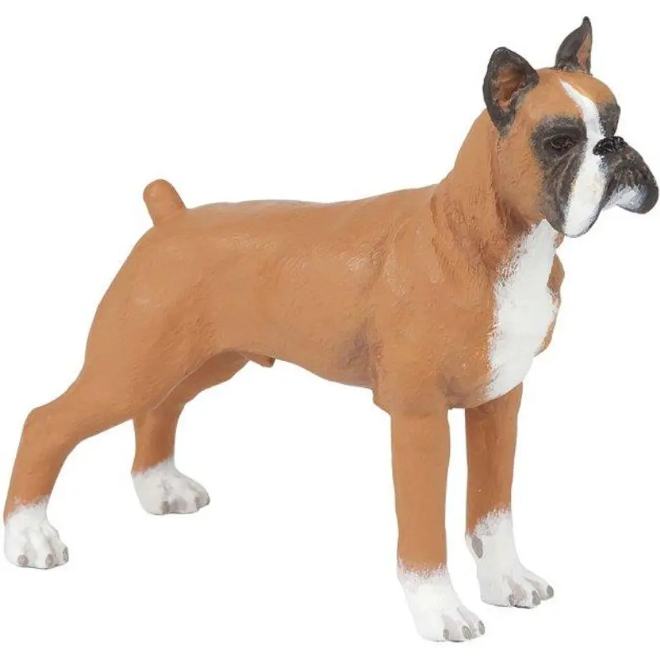 Figura  Boxer 1