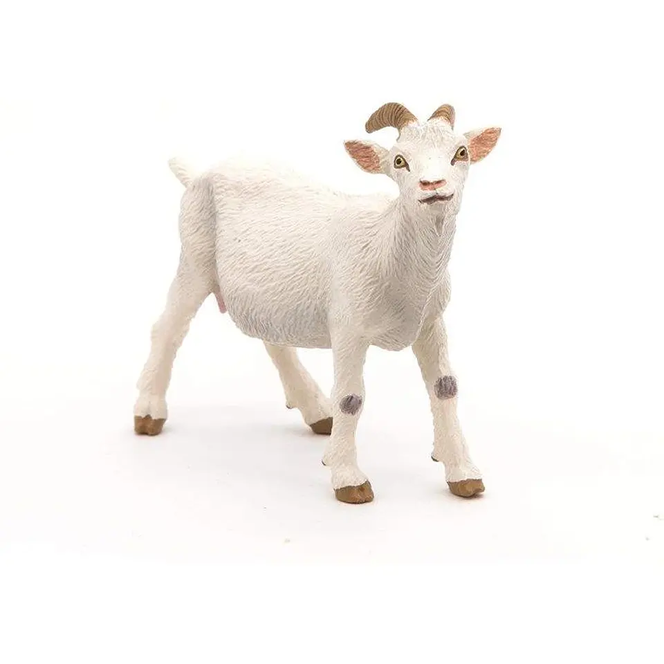 Figura  Cabra Branca 1