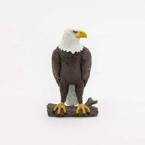 Figura  Águia do Mar