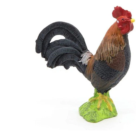 Figura  Galo Galego
