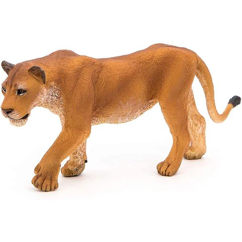 Figura  Leoa
