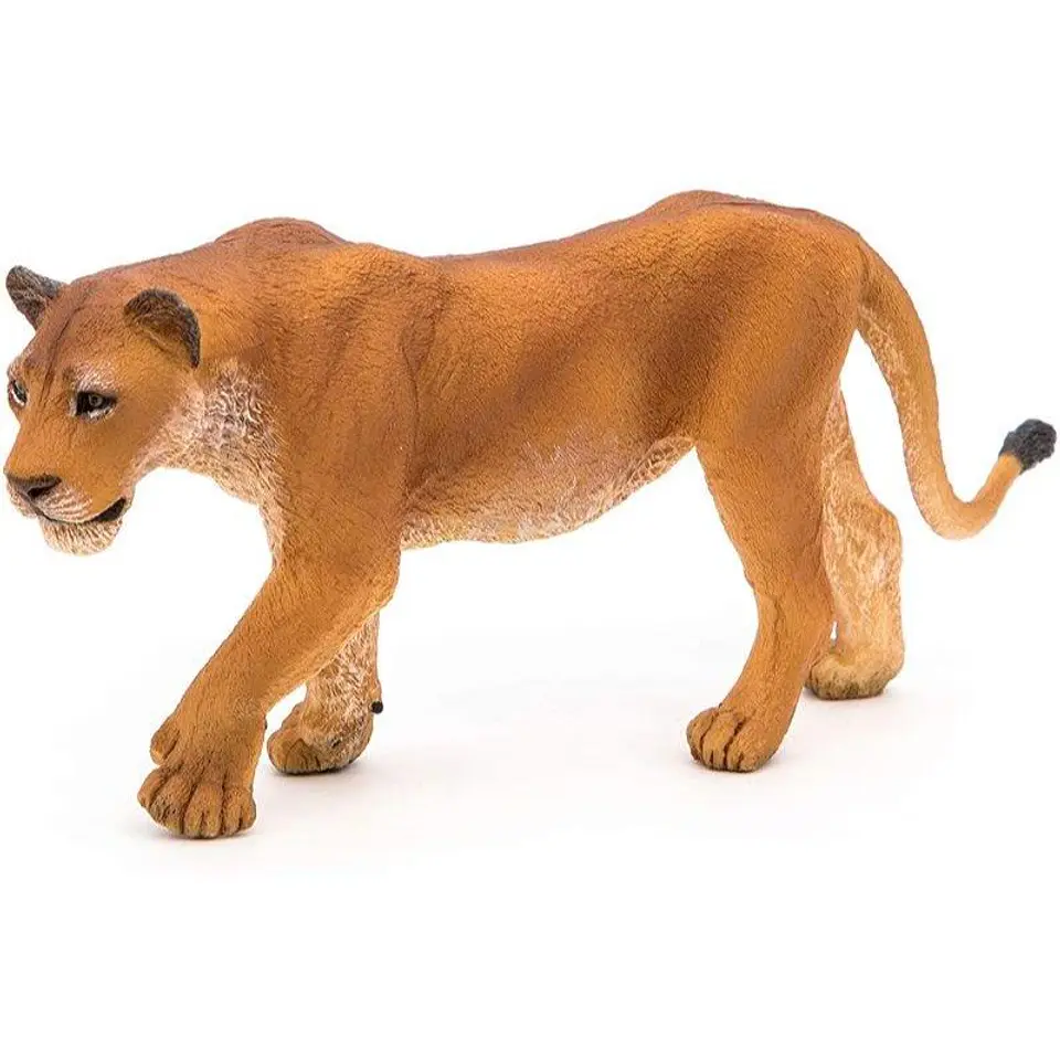 Figura  Leoa 1