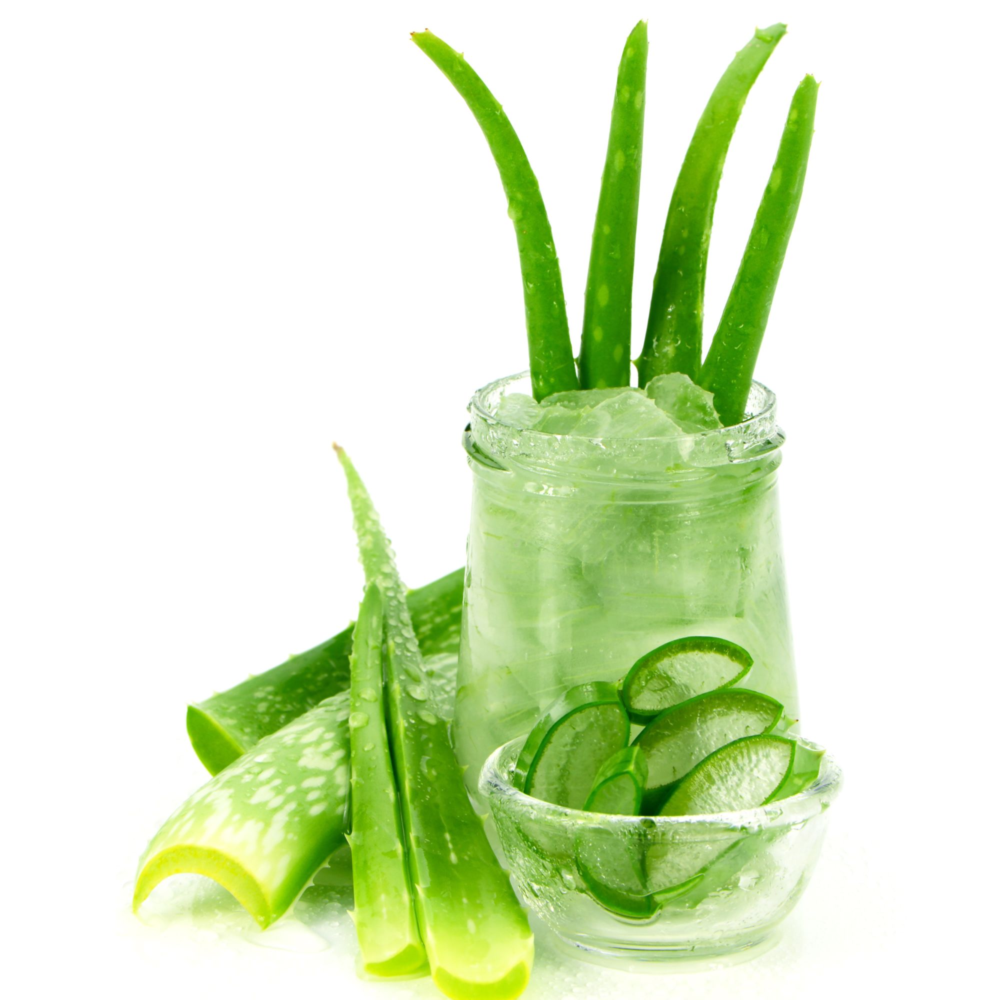 Aloe Vera Polvo