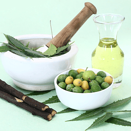 Aceite de Neem Orgánico