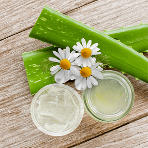 Gel de Aloe Vera y Manzanilla