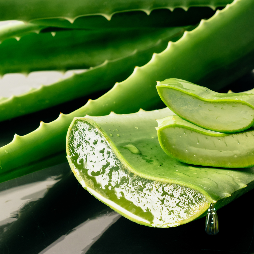 Hidrolato de Aloe Vera
