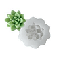 Molde Vela Flor Suculenta - Miniatura 1