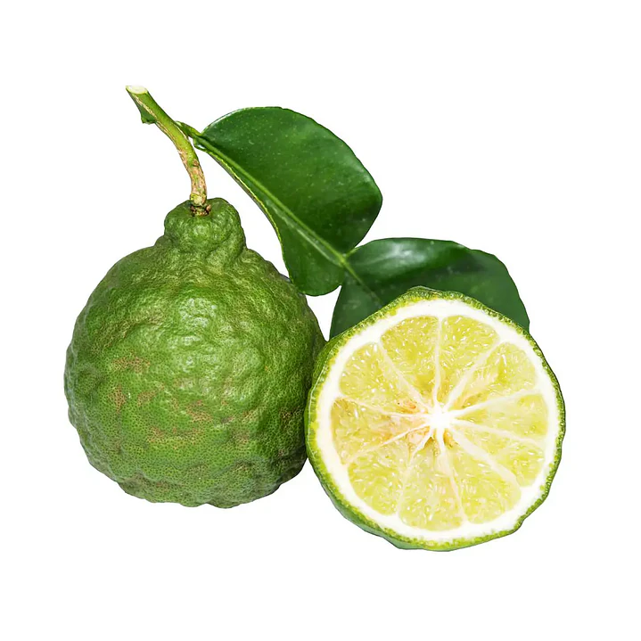 Esencias Aromáticas para Cosmética y Velas 30ml 18
