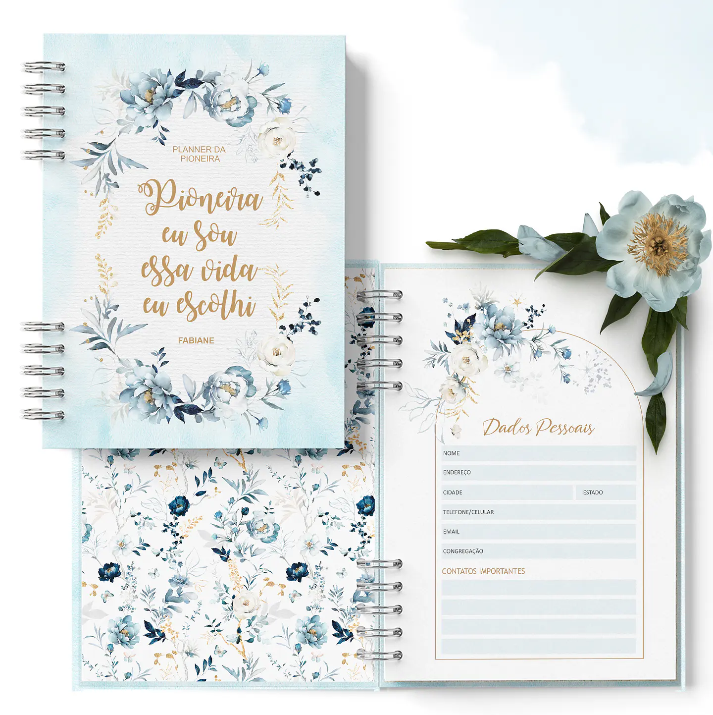 Arquivos Planner da Pioneira SET2023 a AGO2024 e Ano 2024 Completo - Bicho de Papel 1