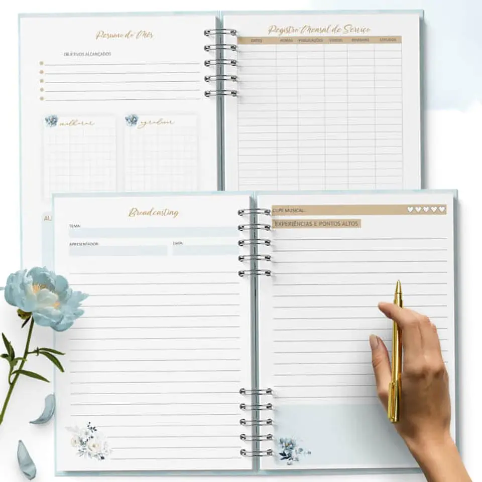 Arquivos Planner da Pioneira SET2023 a AGO2024 e Ano 2024 Completo - Bicho de Papel 4