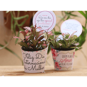 Arquivo de Corte Suculentas Dia das Mulheres