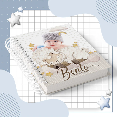 Arquivo caderneta de saude ovelha