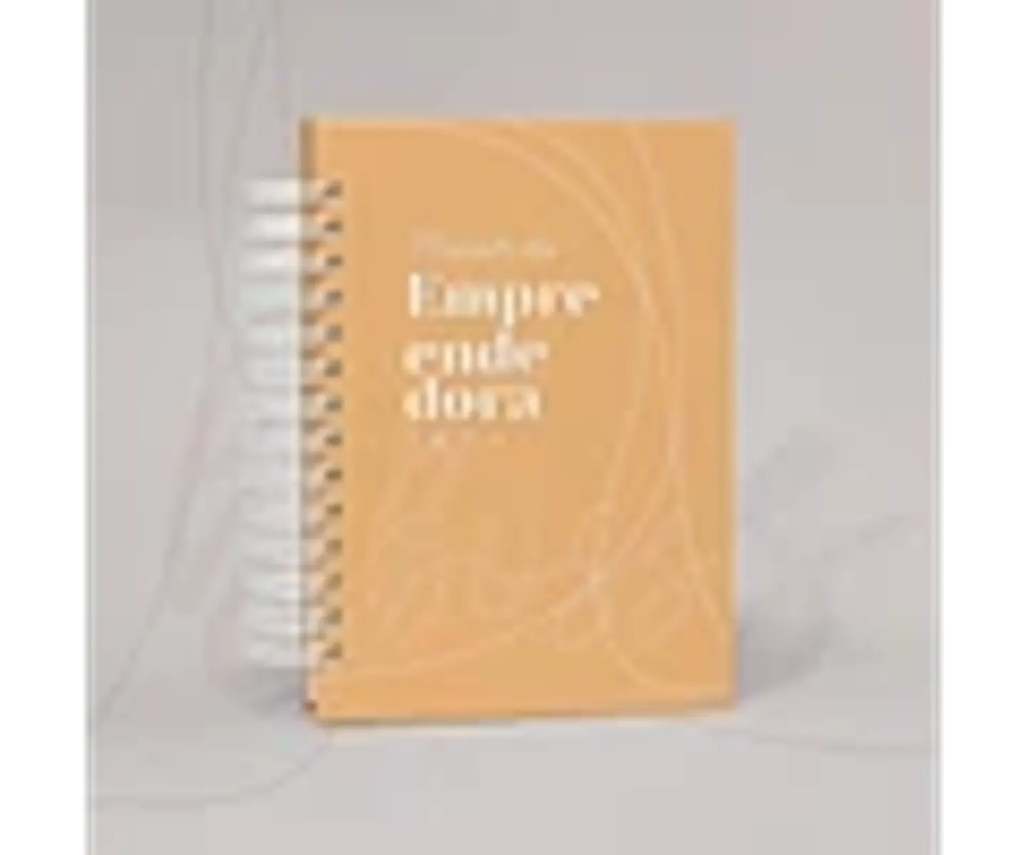 Arquivo planner da empreendedora + planner da artesã 2