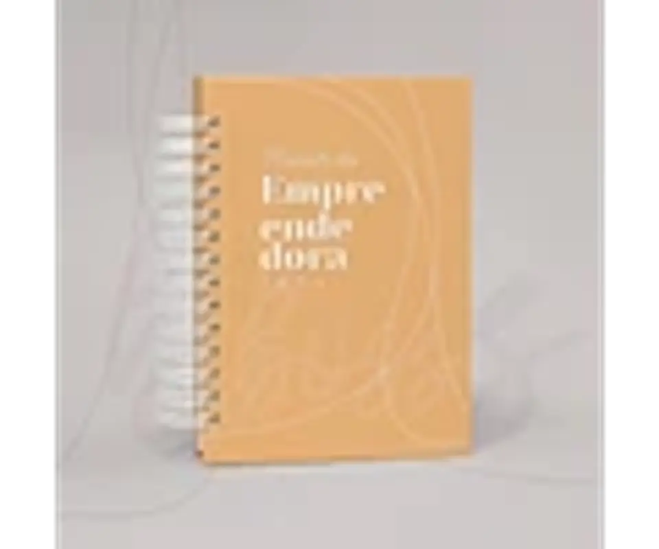 Arquivo planner da empreendedora + planner da artesã 2