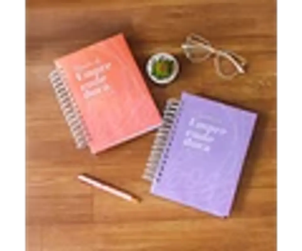Arquivo planner da empreendedora + planner da artesã 4