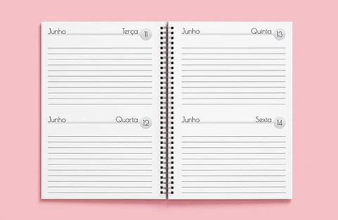 Arquivo miolo agenda 2dpp