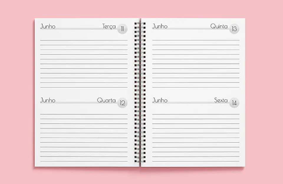 Arquivo miolo agenda 2dpp 1