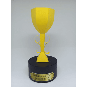 Arquivo Caixa Troféu