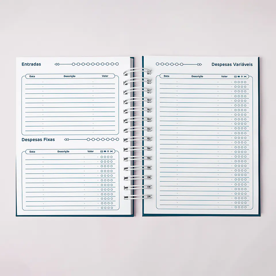 Arquivo Planner Financeiro Coleção Topázio - Amarantto 10