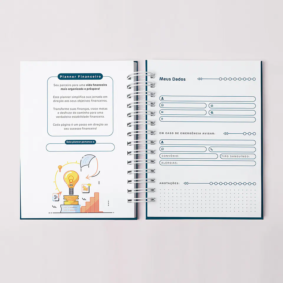 Arquivo Planner Financeiro Coleção Topázio - Amarantto 11